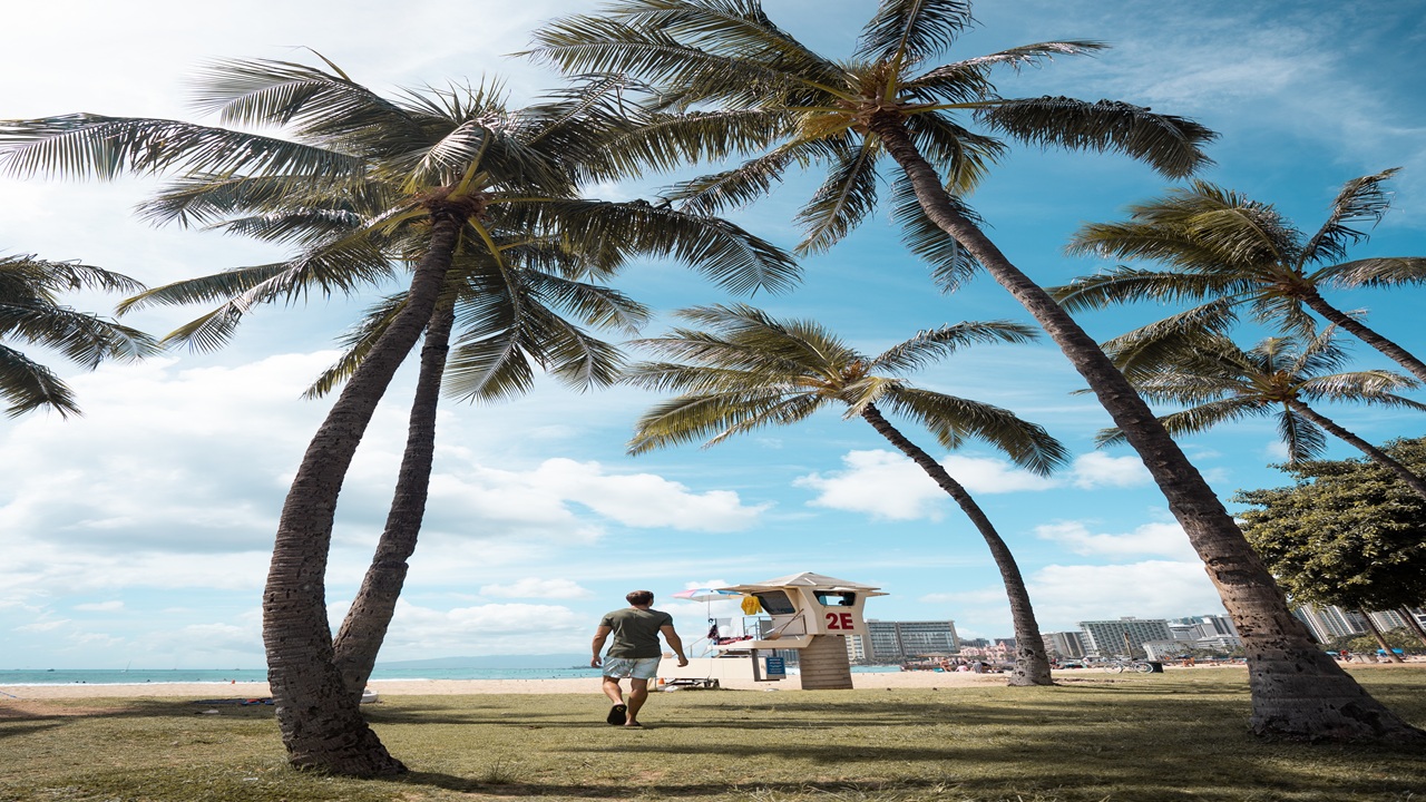 Strolling Through Key West A Walker’s Paradise